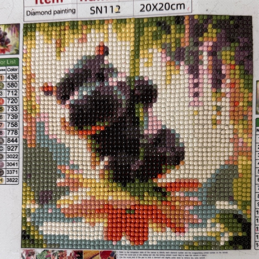 Colorful Diamond Painting Kit